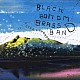 ＢＬＡＣＫ　ＢＯＴＴＯＭ　ＢＲＡＳＳ　ＢＡＮＤ「ＬＩＦＥ　ｉｓ　ＰＡＲＡＤＥ」