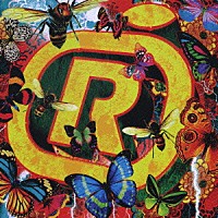 ＯＲＡＮＧＥ　ＲＡＮＧＥ「 ＯＲＡＮＧＥ　ＲＡＮＧＥ」