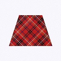 スネオヘアー「 スカート」