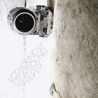 ＬＣＤサウンドシステム「 サウンド・オブ・シルバー」