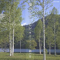 絹の会「 箏カンタービレ　～癒しのクラシック～」