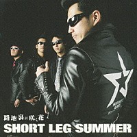 ＳＨＯＲＴ　ＬＥＧ　ＳＵＭＭＥＲ「 路地裏に咲く花」