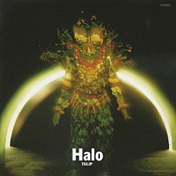 チューリップ「Ｈａｌｏ」