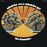 ザ・ドラマティックス「 ホワッチャ・シー・イズ・ホワッチャ・ゲット」