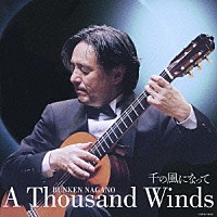 長野文憲「 千の風になって　長野文憲ギターソロアルバム」