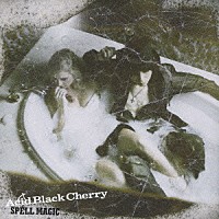 Ａｃｉｄ　Ｂｌａｃｋ　Ｃｈｅｒｒｙ「 ＳＰＥＬＬ　ＭＡＧＩＣ」
