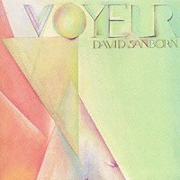 デイヴィッド・サンボーン「 夢魔」