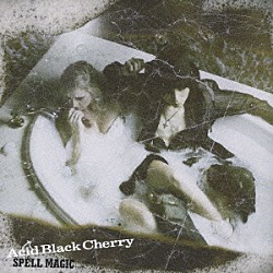 Ａｃｉｄ　Ｂｌａｃｋ　Ｃｈｅｒｒｙ「ＳＰＥＬＬ　ＭＡＧＩＣ」