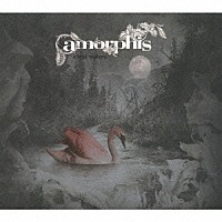 アモルフィス「 サイレント・ウォーターズ」