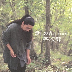 宗次郎「愛しの森　ａ－ｍｏｌｌ」