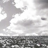 ＢＵＭＰ　ＯＦ　ＣＨＩＣＫＥＮ 「花の名」