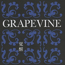 ＧＲＡＰＥＶＩＮＥ「覚醒　１０ｔｈ　Ａｎｎｉｖｅｒｓａｒｙ　Ｓｐｅｃｉａｌ　Ｐａｃｋａｇｅ」