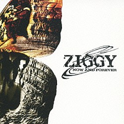 ＺＩＧＧＹ「ＮＯＷ　ＡＮＤ　ＦＯＲＥＶＥＲ　～ＬＩＶＥ　ＣＤ　ＥＤＩＴＩＯＮ～」