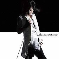 Ａｃｉｄ　Ｂｌａｃｋ　Ｃｈｅｒｒｙ「 愛してない」