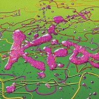 Ｋｒａ「 Ｙｅｌｌ」