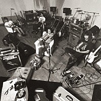 ユニコーン「 ケダモノの嵐」