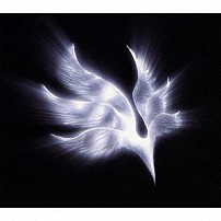 ＢＵＭＰ　ＯＦ　ＣＨＩＣＫＥＮ 「ｏｒｂｉｔａｌ　ｐｅｒｉｏｄ」