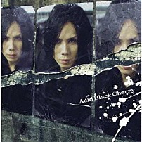 Ａｃｉｄ　Ｂｌａｃｋ　Ｃｈｅｒｒｙ 「冬の幻」