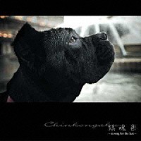 （オムニバス）「 鎮魂楽　～ａ　ｓｏｎｇ　ｆｏｒ　ｔｈｅ　ｌａｓｔ～」