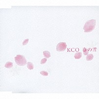 ＫＣＯ 「春の雪」