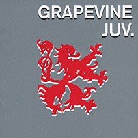 ＧＲＡＰＥＶＩＮＥ 「ジュブナイル」