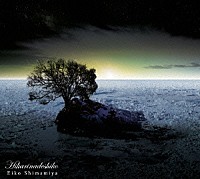 島みやえい子「 ひかりなでしこ」