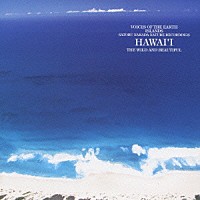 中田悟「 鼓動の島、ハワイ」