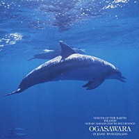 中田悟「 海洋の島、小笠原」