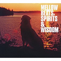 （オムニバス）「 メロウ・ビーツ・スピリッツ＆ウィズダム」