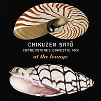 佐藤竹善 「ＣＯＲＮＥＲＳＴＯＮＥＳ　ＤＯＭＥＳＴＩＣ　ＭＩＸ　ａｔ　ｔｈｅ　ｌｏｕｎｇｅ」