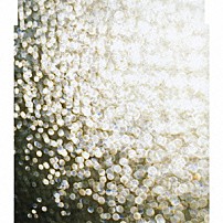 ＴＨＥ　ＢＡＣＫ　ＨＯＲＮ 「覚醒」