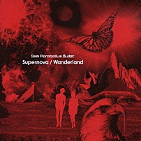 ９ｍｍ　Ｐａｒａｂｅｌｌｕｍ　Ｂｕｌｌｅｔ 「Ｓｕｐｅｒｎｏｖａ／Ｗａｎｄｅｒｌａｎｄ」