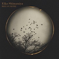 島みやえい子 「ＷＨＥＥＬ　ＯＦ　ＦＯＲＴＵＮＥ（運命の輪）」