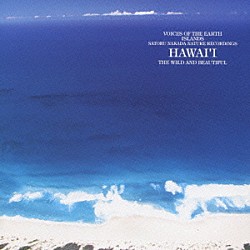 中田悟「鼓動の島、ハワイ」