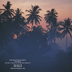 中田悟「神秘の島、バリ」