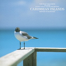 中田悟「躍動の島、カリブ」