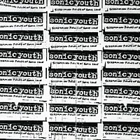 ソニック・ユース「 スクリーミング・フィールズ・オブ・ソニック・ラヴ」