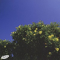 （オムニバス）「 夏のかほり／サマー・ジャズ・コレクション」