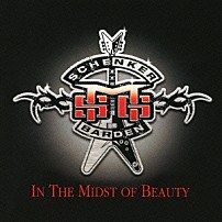 ザ・マイケル・シェンカー・グループ 「イン・ザ・ミッドスト・オブ・ビューティー」