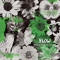 ＦＬＯＷ 「ＷＯＲＤ　ＯＦ　ＴＨＥ　ＶＯＩＣＥ」