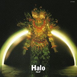 チューリップ「Ｈａｌｏ」