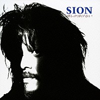 ＳＩＯＮ「 夜しか泳げない」