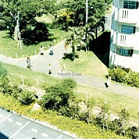 Ｈｅａｒｔｓ　Ｇｒｏｗ「 そら」