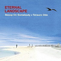 Ｓｋｏｏｐ　Ｏｎ　Ｓｏｍｅｂｏｄｙ＋織田哲郎 「ＥＴＥＲＮＡＬ　ＬＡＮＤＳＣＡＰＥ」