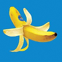 ＭＯＮＫＥＹ　ＭＡＪＩＫ 「ＴＩＭＥ」