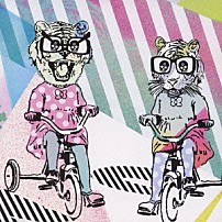 少年カミカゼ 「ＮＯ」