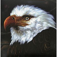 モグワイ「 ザ・ホーク・イズ・ハウリング」