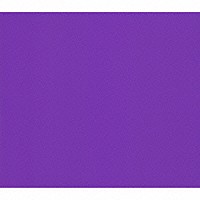 （オムニバス）「 ＣＯＬＯＲＳ　ＰＵＲＰＬＥ」