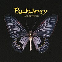 バックチェリー 「ブラック・バタフライ」