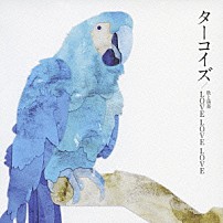 ＬＯＶＥ　ＬＯＶＥ　ＬＯＶＥ 「ターコイズ」